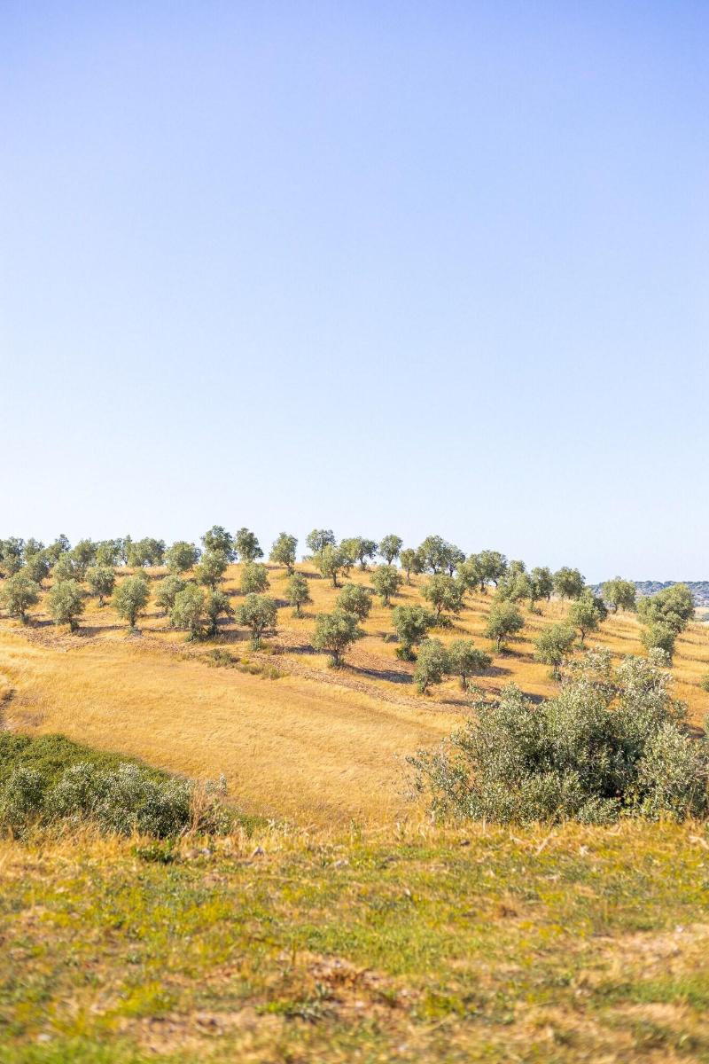 Sleep & Nature Hotel Rural - Genel