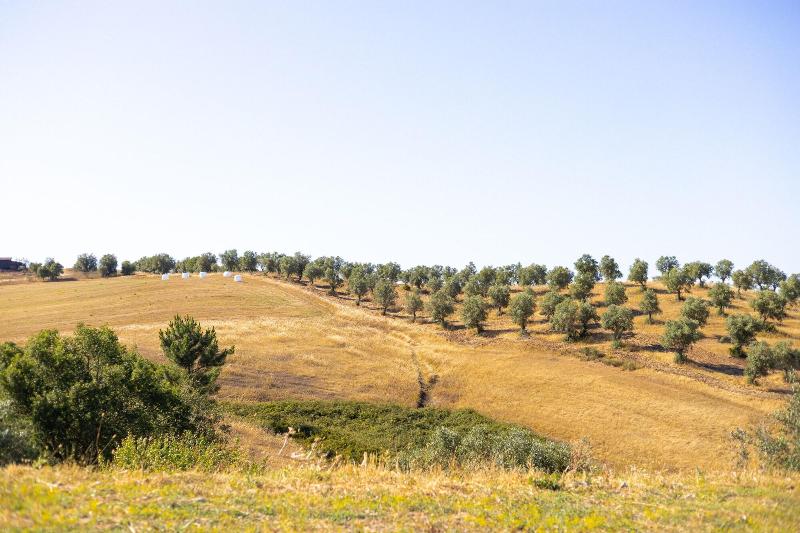 Sleep & Nature Hotel Rural - Genel