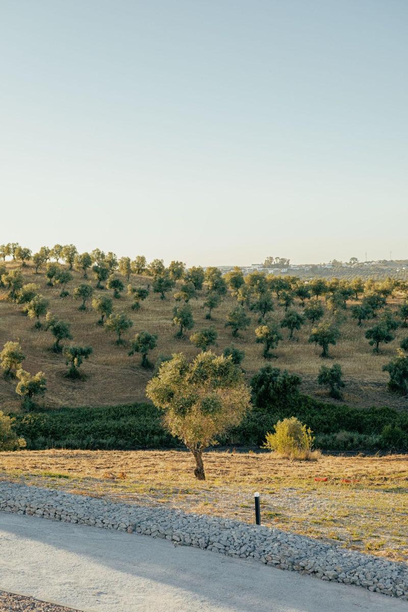 Sleep & Nature Hotel Rural - Genel