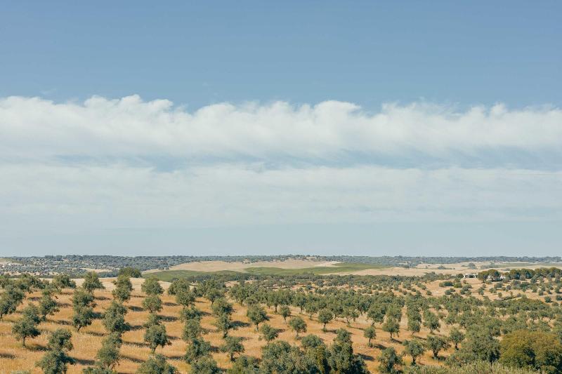 Sleep & Nature Hotel Rural - Genel