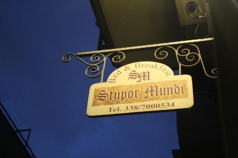 Stupor Mundi - Genel