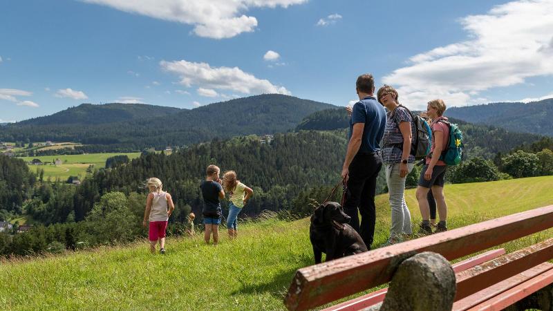 Sackmann Wanderhotel - Aktivite
