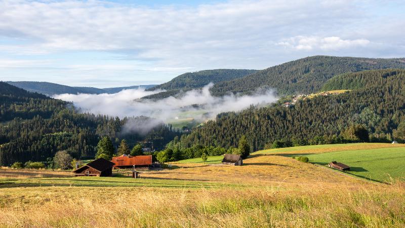 Sackmann Wanderhotel - Genel