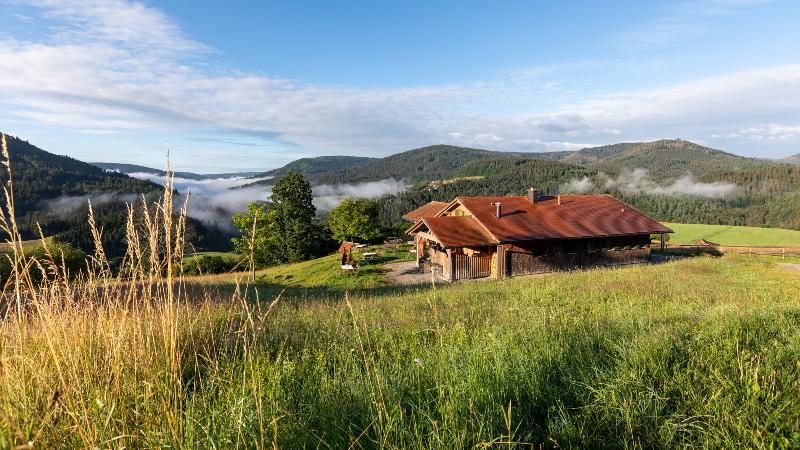 Sackmann Wanderhotel - Genel