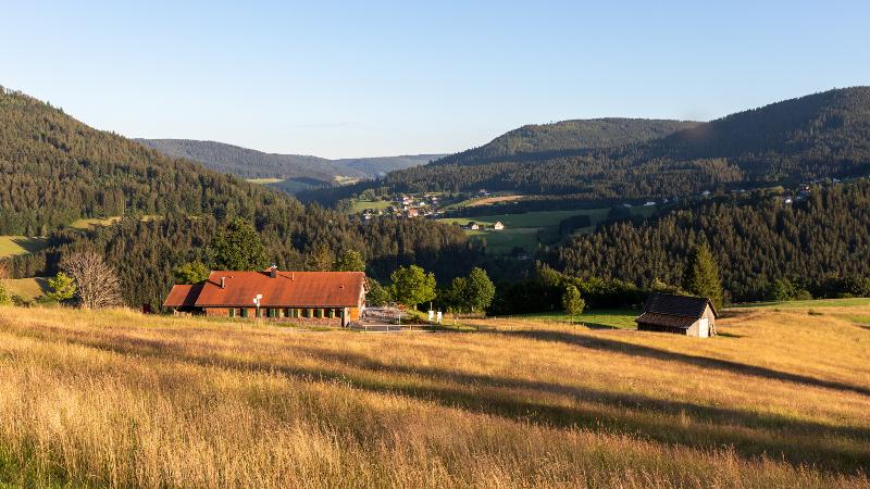 Sackmann Wanderhotel - Genel