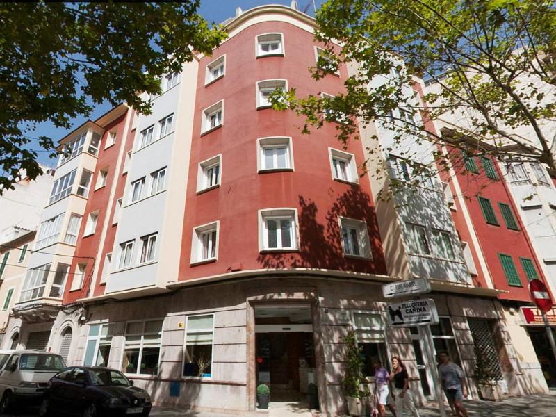 Amic Colon - Genel