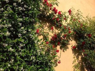 Albergo Giardinetto fotoÄŸrafÄ±