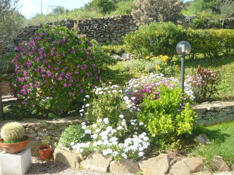 B&b Li Muntigeddi - Genel