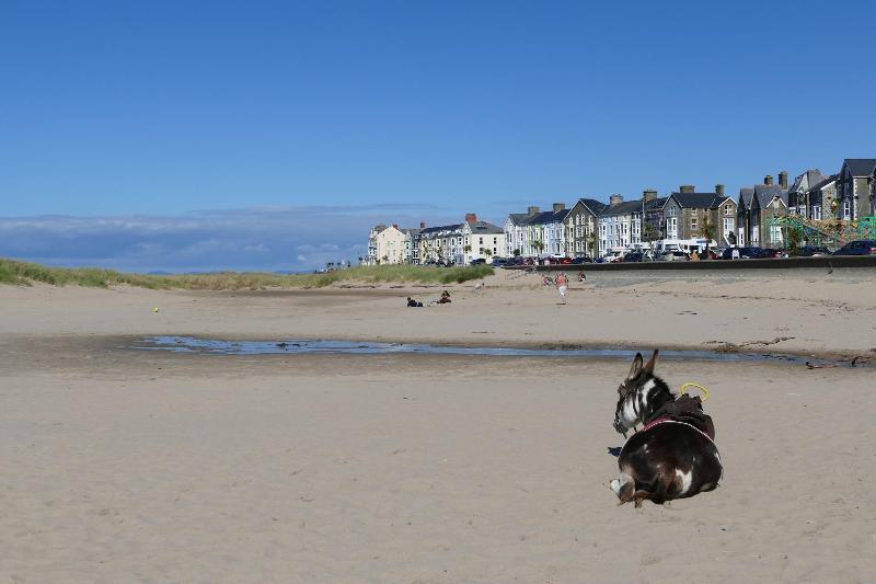 Bae Abermaw Hotel - Genel