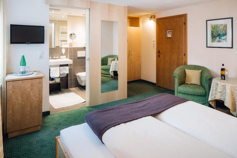 Aparthotel alpina&more - Oda