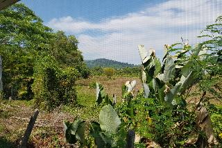Nest Villa Phang Nga fotoÄŸrafÄ±