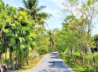 Nest Villa Phang Nga fotoÄŸrafÄ±