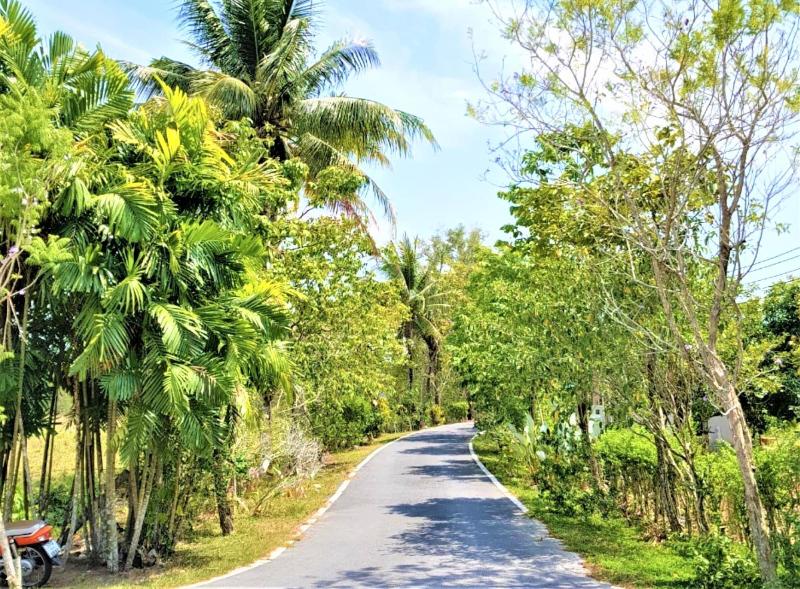 Nest Villa Phang Nga - Genel