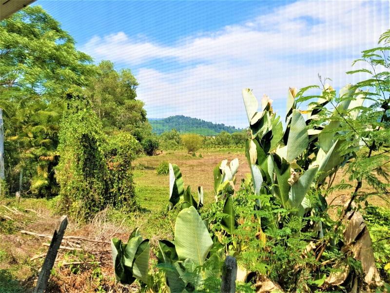 Nest Villa Phang Nga - Oda
