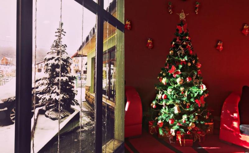 Hotel Villa Palace - Aktivite