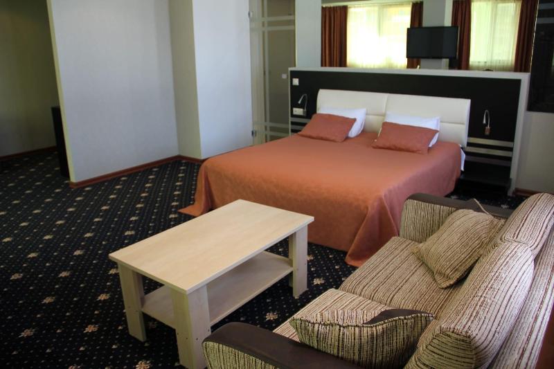 Hotel Villa Palace - Oda
