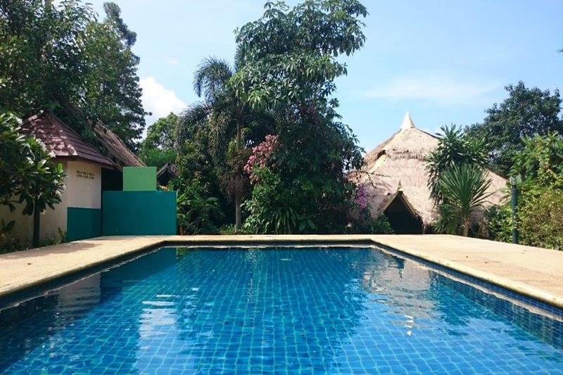 The Grand Tree Resort - Aktivite