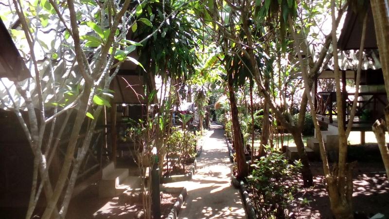 The Grand Tree Resort - Genel