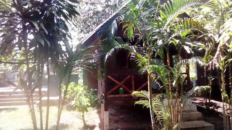 The Grand Tree Resort - Genel