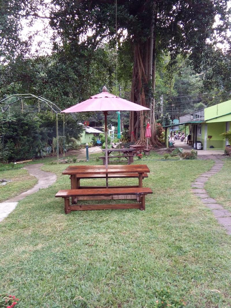 The Grand Tree Resort - Genel