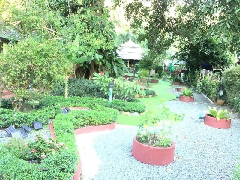 The Grand Tree Resort - Genel