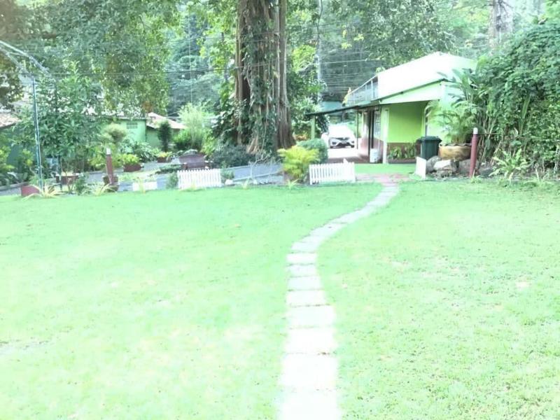 The Grand Tree Resort - Genel