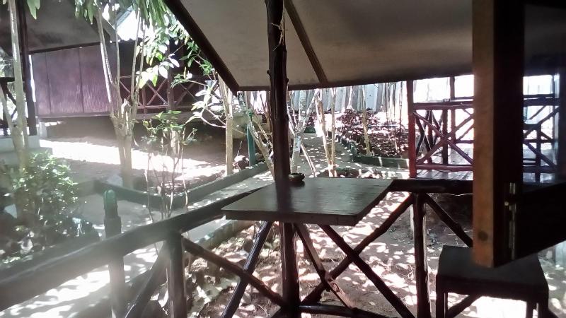 The Grand Tree Resort - Oda