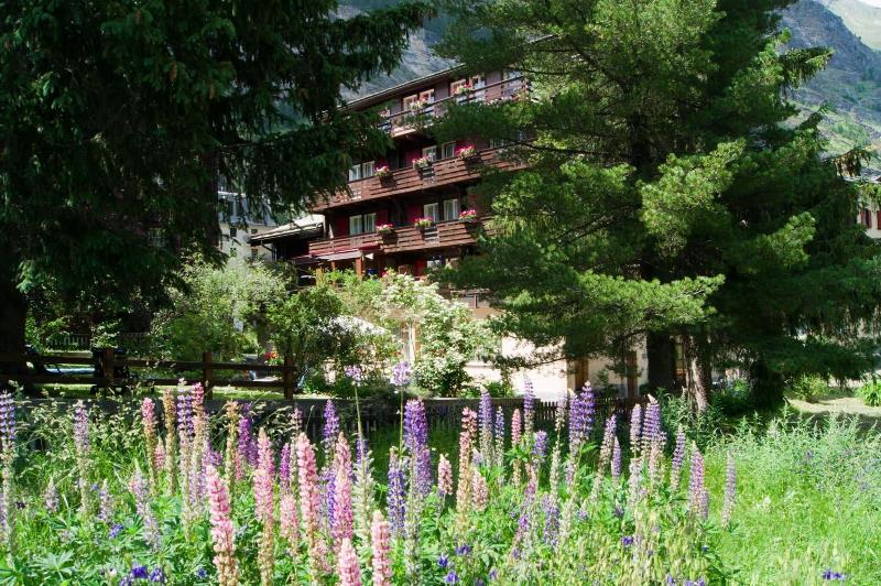Hotel Alpina - Genel