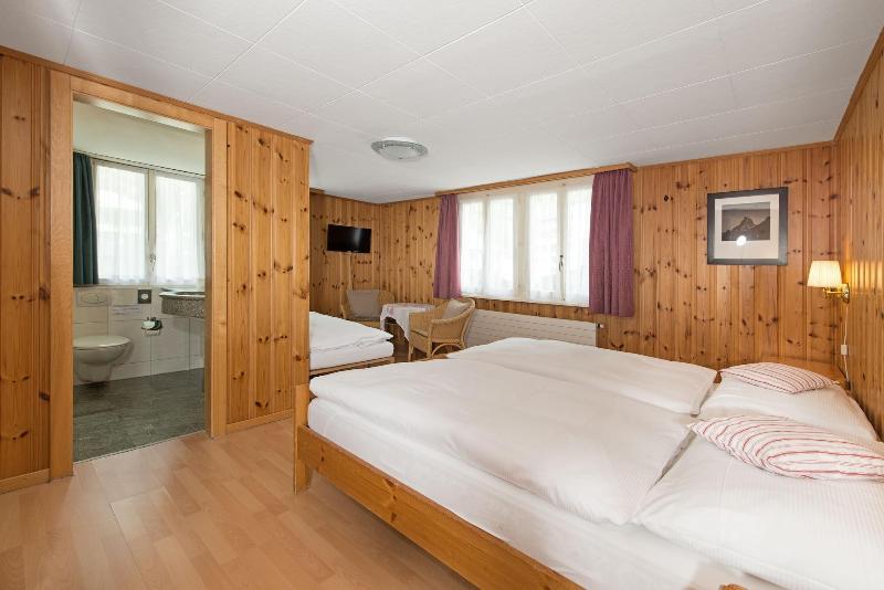 Hotel Alpina - Oda