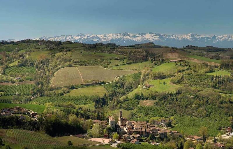 Tenuta Bricchi - Genel