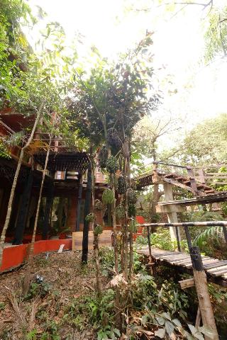 P&P Coffee & Resort Mae Sariang fotoÄŸrafÄ±