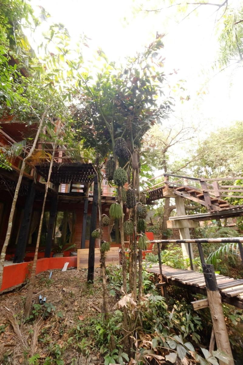 P&P Coffee & Resort Mae Sariang - Genel