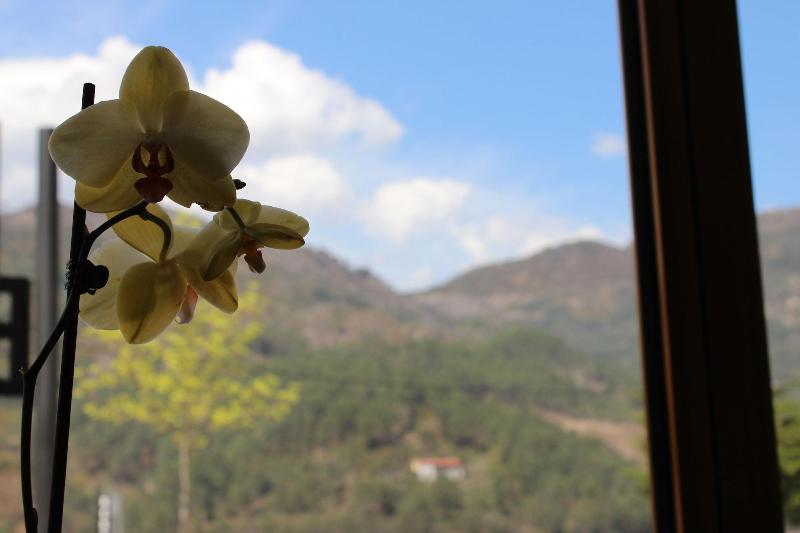 Beleza Serra Guide Hotel - Oda