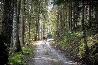 Hotel RÃ¶ssle Berneck fotoÄŸrafÄ±