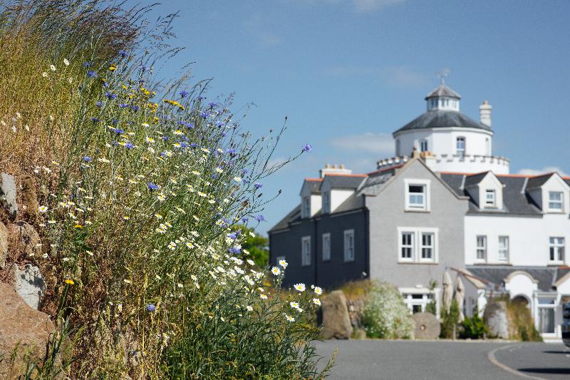 Twr Y Felin Hotel - Genel