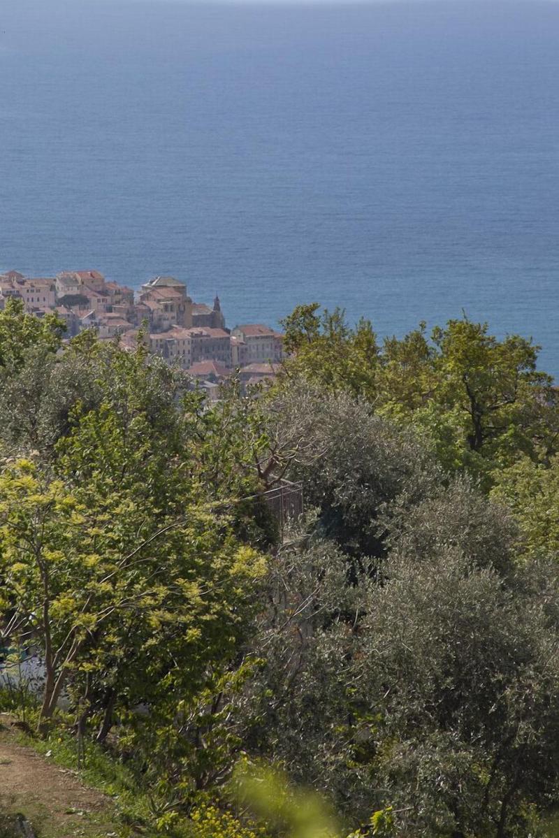 Il Mirto Bed and Breakfast - Genel