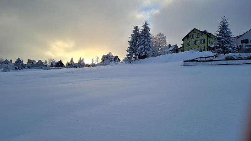 Hotel SchÃ¶ne Aussicht - Genel