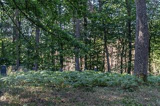 Landgasthof zur Burg Grenzau fotoÄŸrafÄ±