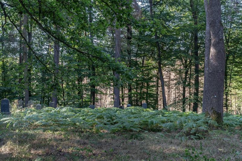 Landgasthof zur Burg Grenzau - Aktivite