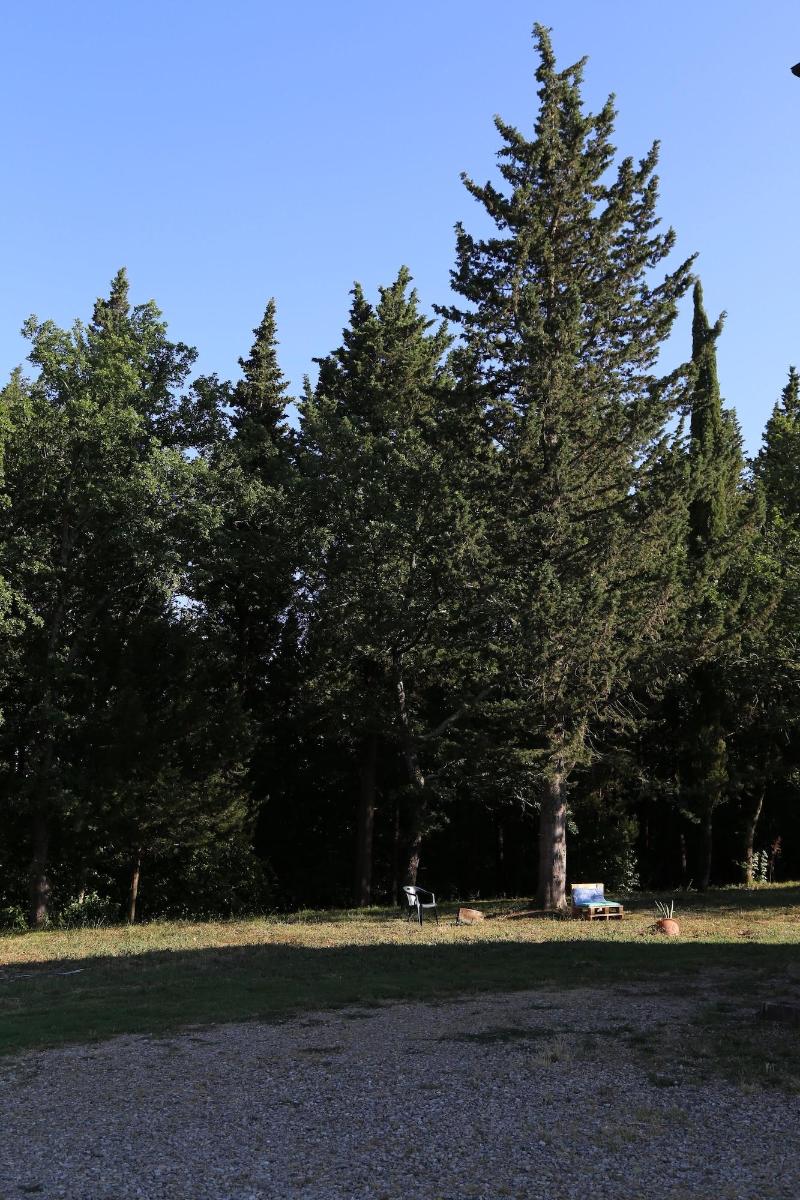 Villa Albertina - Genel