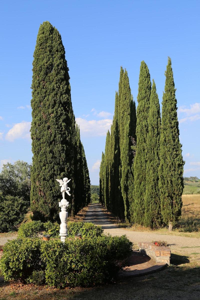 Villa Albertina - Genel