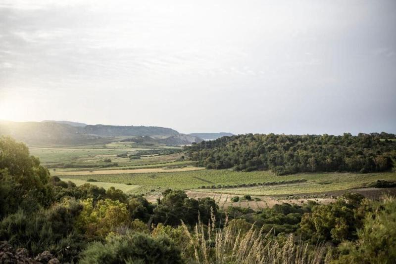ADLER Spa Resort SICILIA - Genel