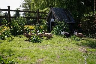 Brookhall Cottages fotoÄŸrafÄ±