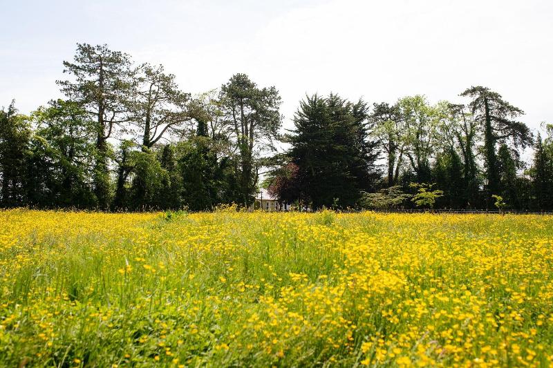 Brookhall Cottages - Genel