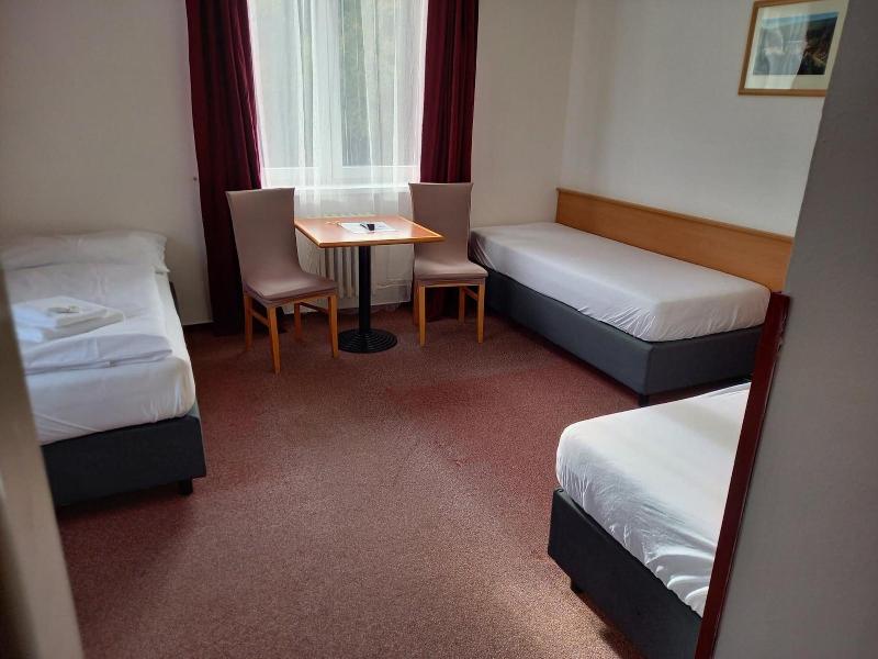 Hotel Harrachov Inn - Oda