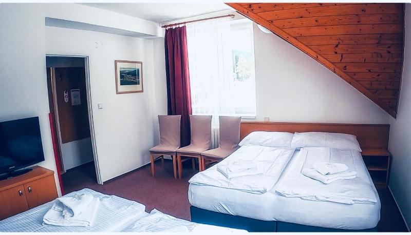 Hotel Harrachov Inn - Oda