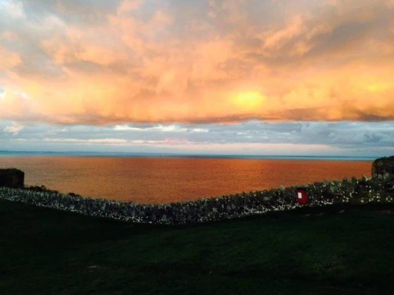 Driftwood B&B - Genel