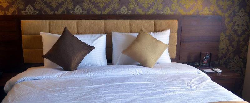 Hotel Safira Magelang - Genel