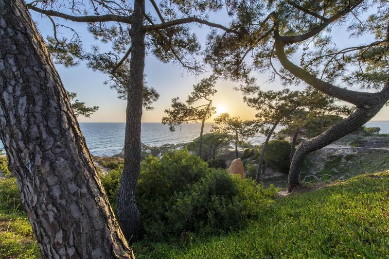 W Residences Algarve - Genel