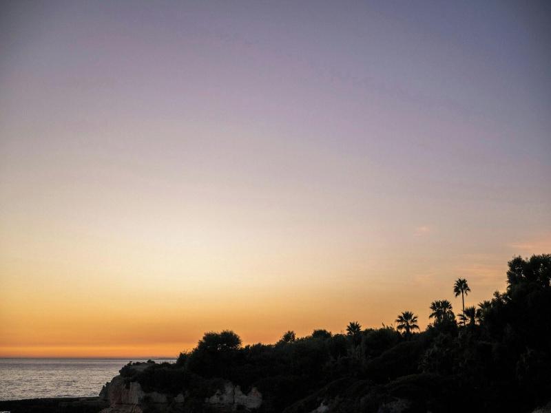 W Residences Algarve - Genel